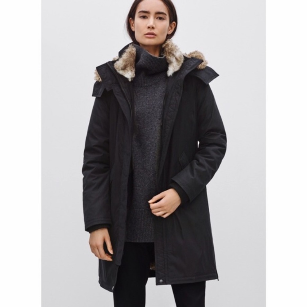 Aritzia Babaton Oskar parka